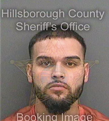 Masoud Amin - Hillsborough County, FL 