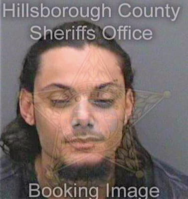 Medina Justin - Hillsborough County, FL 