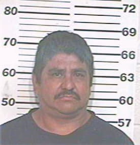 Lozano David - Hidalgo County, TX 