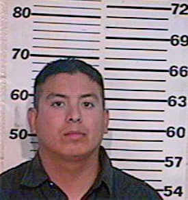 Sanchez David - Hidalgo County, TX 