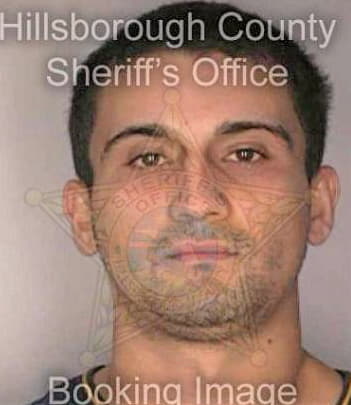 Figueroa Reinaldo - Hillsborough County, FL 