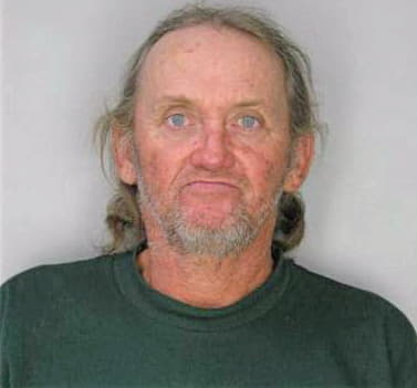 Mcelveen Paul - Hillsborough County, FL 