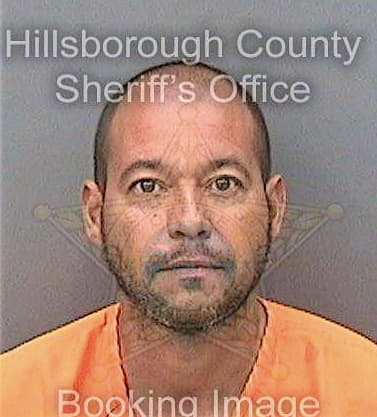 Torres Felix - Hillsborough County, FL 