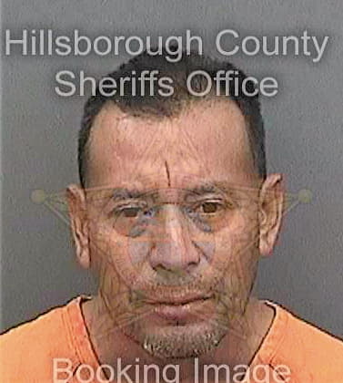 Lopezmartez Romero - Hillsborough County, FL 