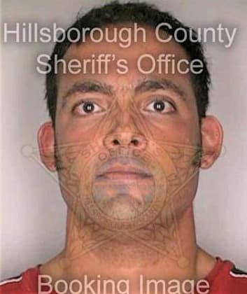 Rivera David - Hillsborough County, FL 