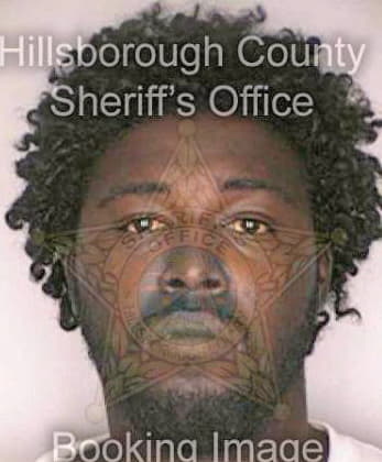Simpson Johara - Hillsborough County, FL 