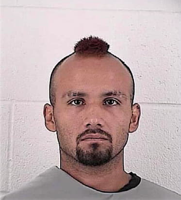 Hernandez-Rodriguez Elvis - Johnson County, KS 