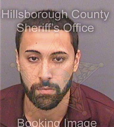 Milland Matthew - Hillsborough County, FL 