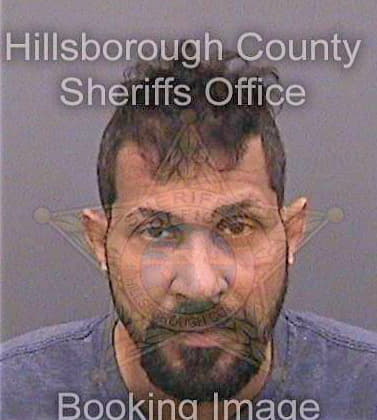 Thomas Manoj - Hillsborough County, FL 