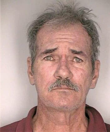 Mcelhaney Danny - Hillsborough County, FL 