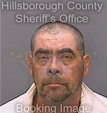 Perezlandaverde Mardonio - Hillsborough County, FL 