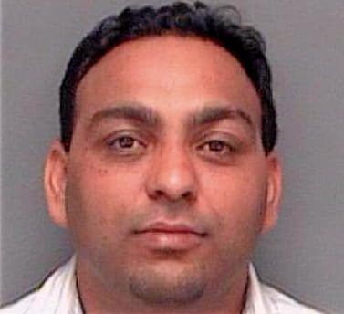 Singh Satender - Pinellas County, FL 