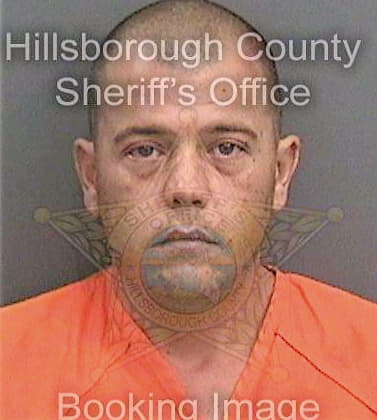 Markley Jonathan - Hillsborough County, FL 