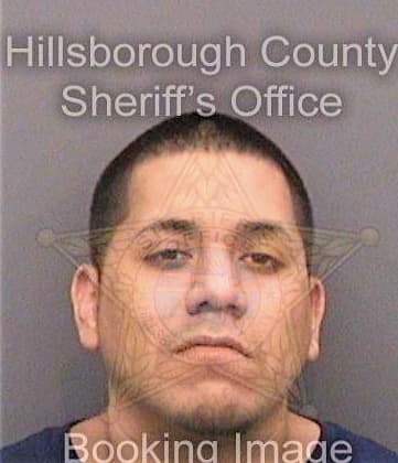 Sarchi Andres - Hillsborough County, FL 