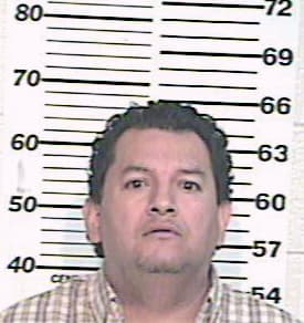 Gonzalez Daniel - Hidalgo County, TX 