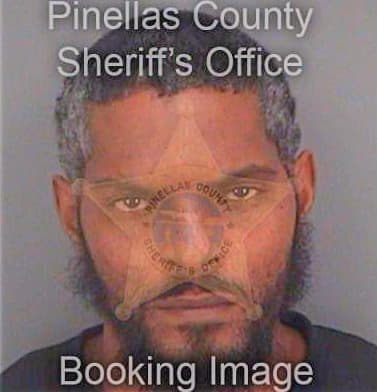 Dillard Michael - Pinellas County, FL 