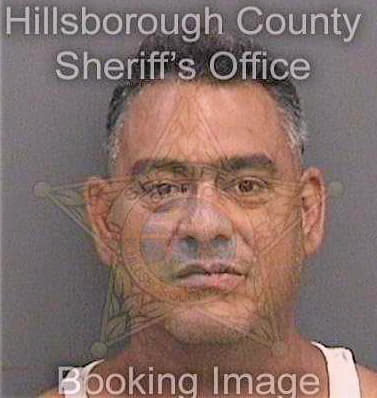 Fernandezlopez Dennis - Hillsborough County, FL 