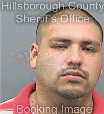 Ferreiravazquez Jose - Hillsborough County, FL 