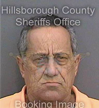 Mejia Andres - Hillsborough County, FL 