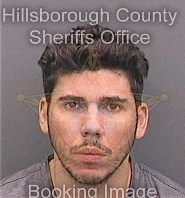 Delarosa Juan - Hillsborough County, FL 