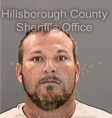 Mcguire Michael - Hillsborough County, FL 