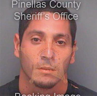 Rosatorres David - Pinellas County, FL 