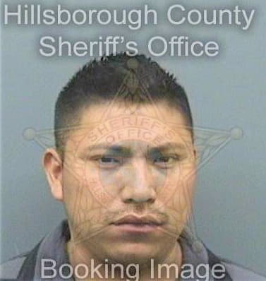 Mendezhernandez Juan - Hillsborough County, FL 