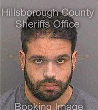 Salgado Daniel - Hillsborough County, FL 