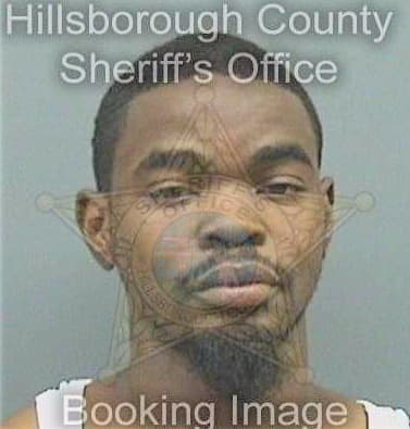 Johnson Lenard - Hillsborough County, FL 