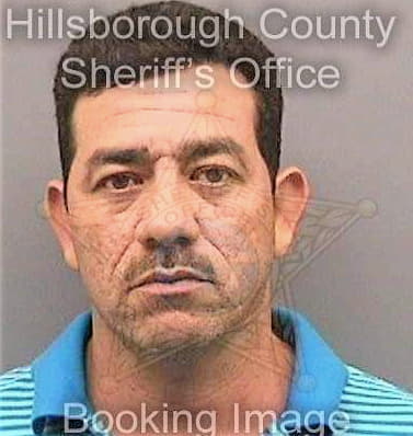 Lozoya Mario - Hillsborough County, FL 