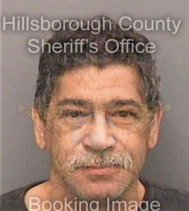 Strubbe Fernando - Hillsborough County, FL 