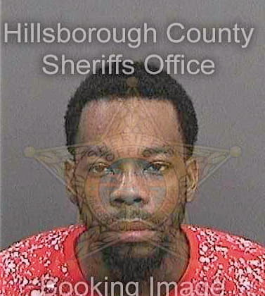 Stephens Maurice - Hillsborough County, FL 