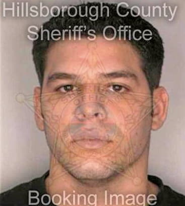 Mendoza David - Hillsborough County, FL 