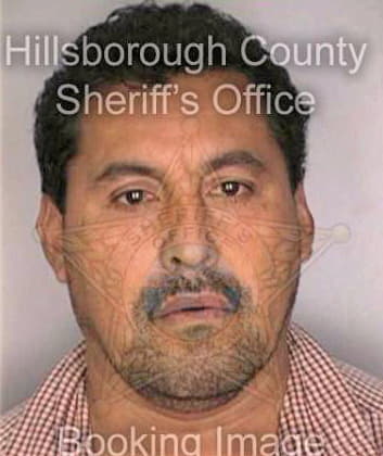 Dominguez Mayolo - Hillsborough County, FL 