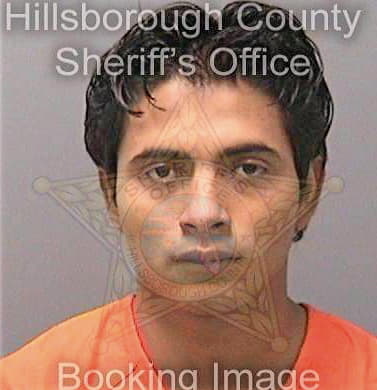 Sanchezhernandez Fredy - Hillsborough County, FL 