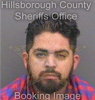 Gonzalez Miguel - Hillsborough County, FL 