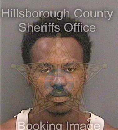 Howard Mario - Hillsborough County, FL 