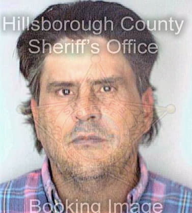 Mendez David - Hillsborough County, FL 