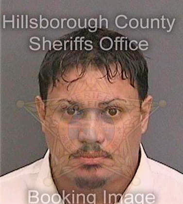 Soto Santos - Hillsborough County, FL 