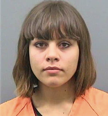 Sanchez Ayla - Hillsborough County, FL 