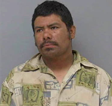 Bautista Domingo - Madera County, CA 