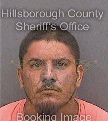 Ferretiz-Gonzalez Juan - Hillsborough County, FL 