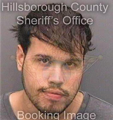 Camacho Nathaniel - Hillsborough County, FL 