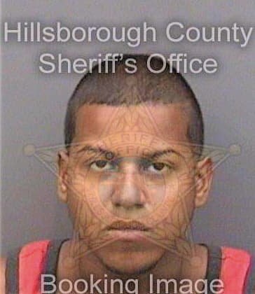 Marcano Justin - Hillsborough County, FL 