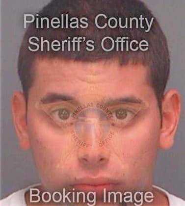 Serrao Daniel - Pinellas County, FL 