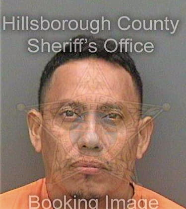 Garcia Carlos - Hillsborough County, FL 