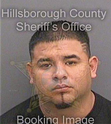 Nolasco Nicolas - Hillsborough County, FL 