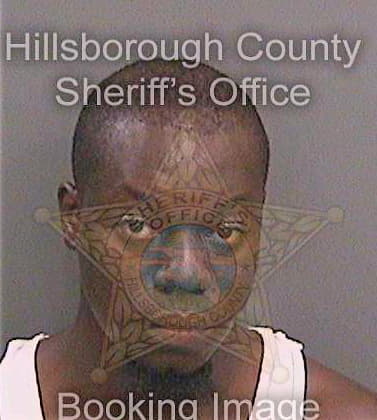 Huggekellogg Demetrius - Hillsborough County, FL 