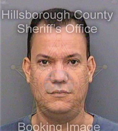 Gonzalez Domingo - Hillsborough County, FL 