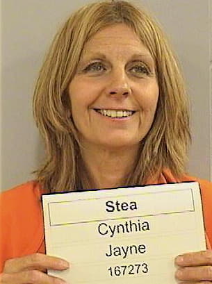 Stea Cynthia - Dickinson County, IA 
